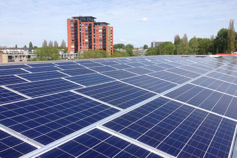 Provincie Zuid-Holland wil grond langs snelwegen vol leggen met zonnepanelen