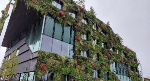 Renoveren? 4 goede redenen om het groen te doen