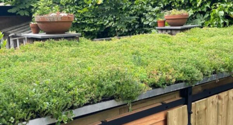 Groene daken en gevels op BouwBeurs 2025