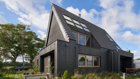 ‘Ik word blij van termietenheuvelventilatie’