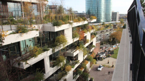 Wonderwoods: onbehandeld tropisch hout dat voldoet aan brandklasse B