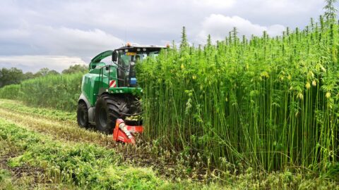 Opinie | Biobased bouwen als klimaatstrategie