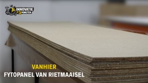 ‘Rietmaaisel is het bouwmateriaal van de toekomst’